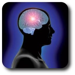 mozg, umysl, psychoneuroimmunologia