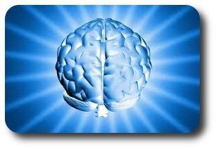 Psychoneuroimmunologia - wykorzystaj moc umysłu dla zdrowia mozg-pni.jpg