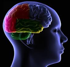 Psychoneuroimmunologia, czyli jak umysł wpływa na zdrowie